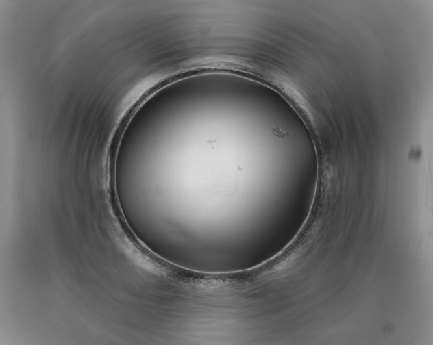 X0000090441082200707201248