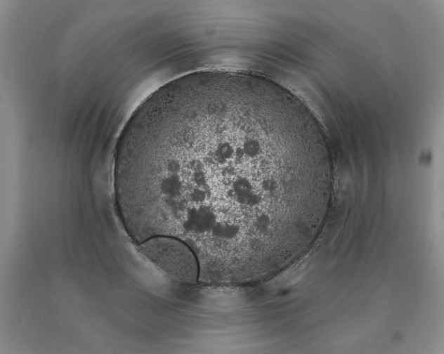 X0000090441083200707201248