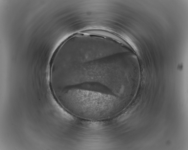 X0000090441084200707201248