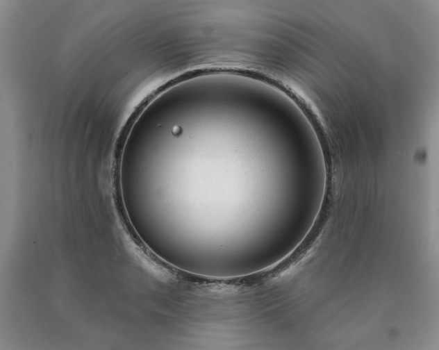 X0000090441085200707201248