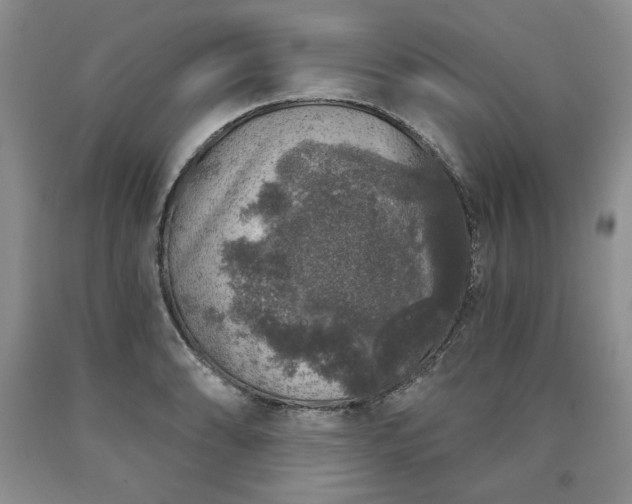 X0000090441086200707201248