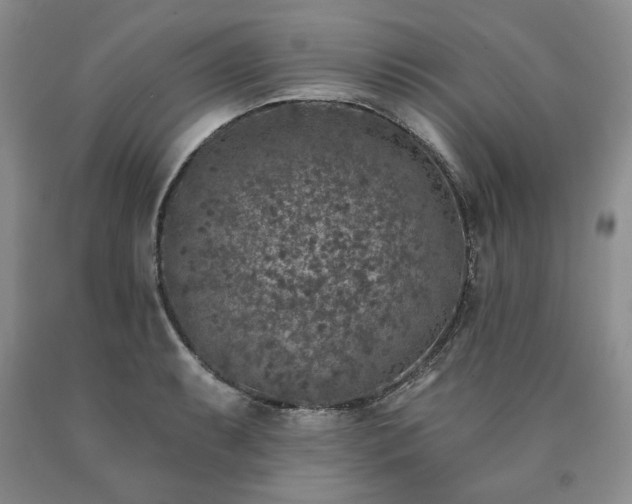 X0000090441087200707201248