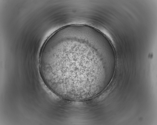 X0000090441088200707201248