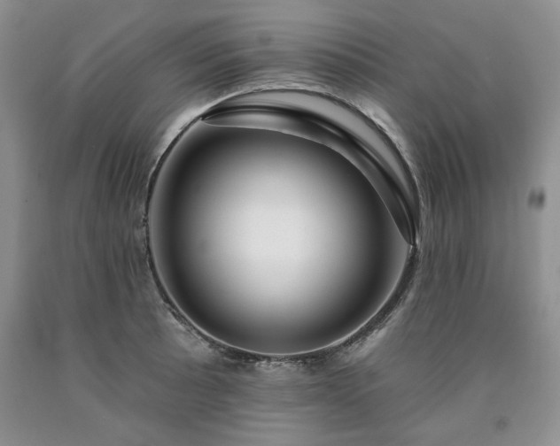 X0000090441089200707201248