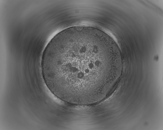 X0000090441091200707201248