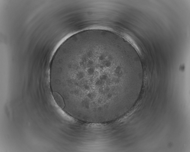 X0000090441092200707201248