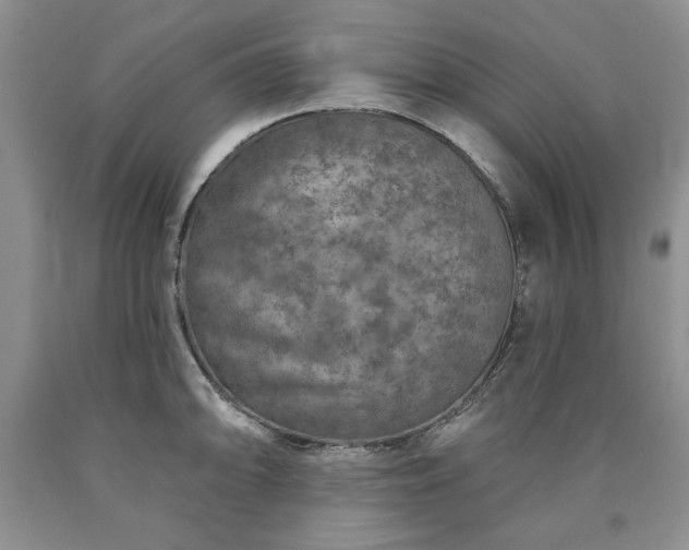 X0000090441094200707201248