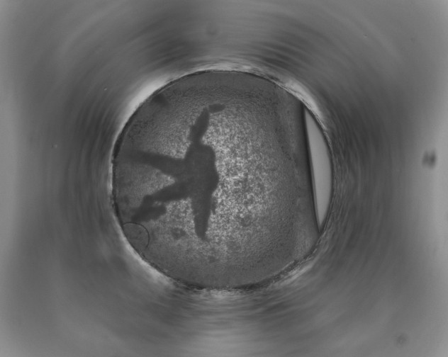 X0000090441095200707201248