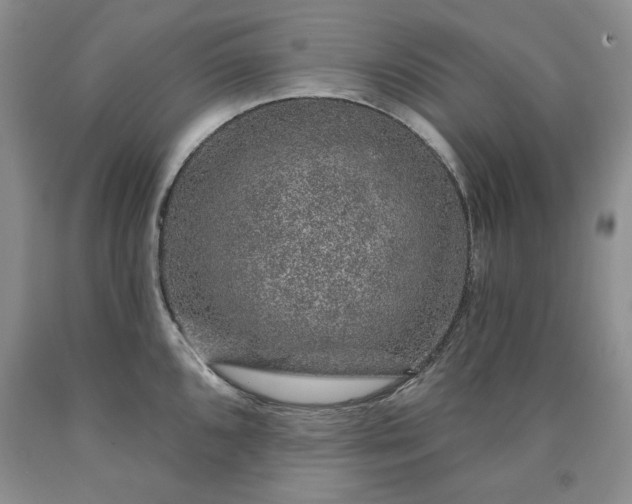 X0000090441096200707201248