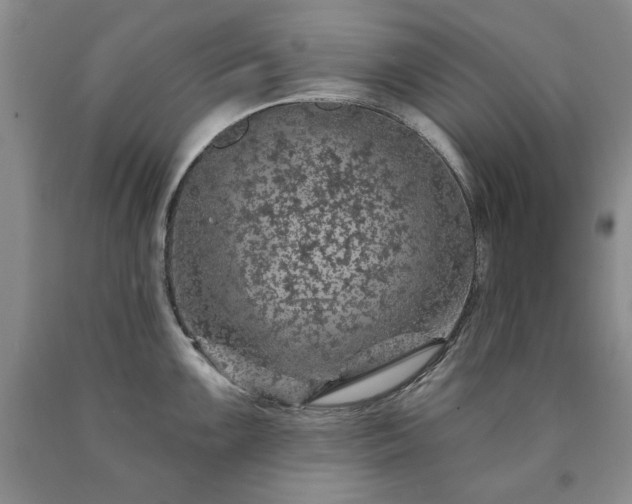 X0000090441099200707201248