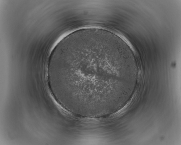 X0000090441101200707201248