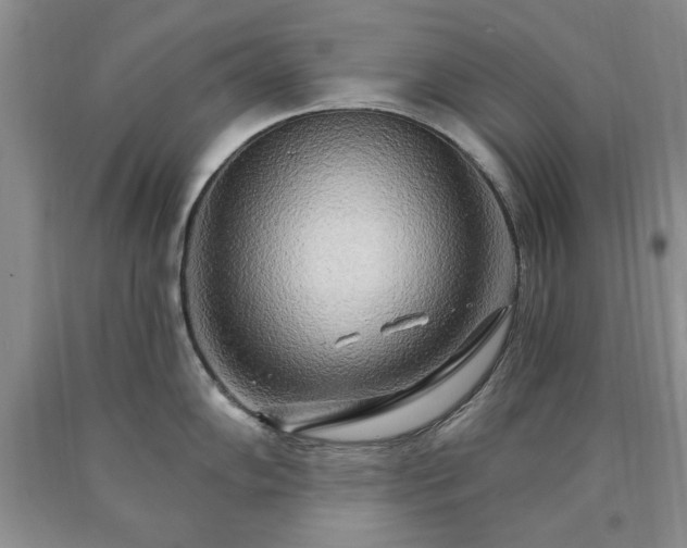 X0000090441102200707201248