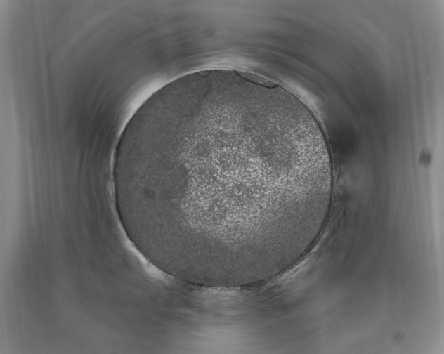 X0000090441103200707201248