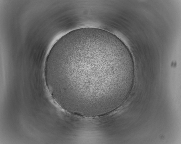 X0000090441104200707201248