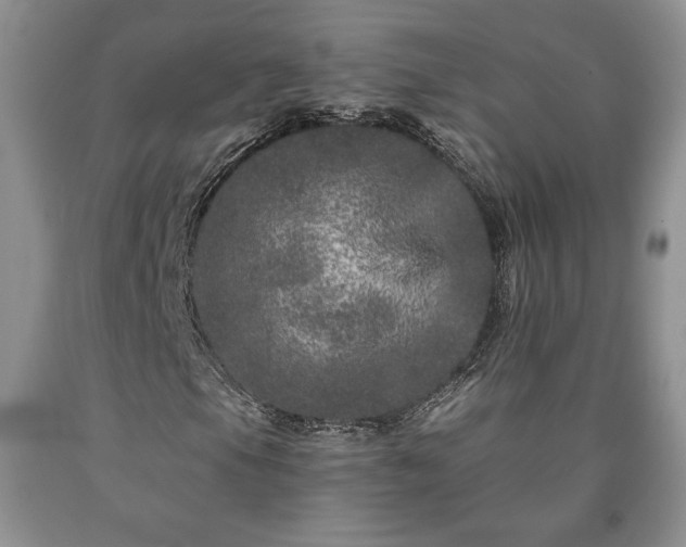 X0000090441105200707201247