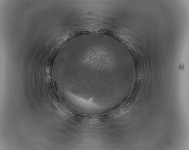 X0000090441106200707201247