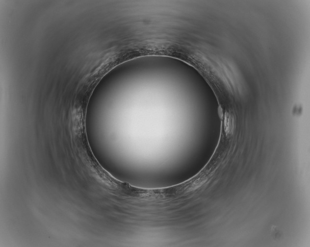 X0000090441107200707201247