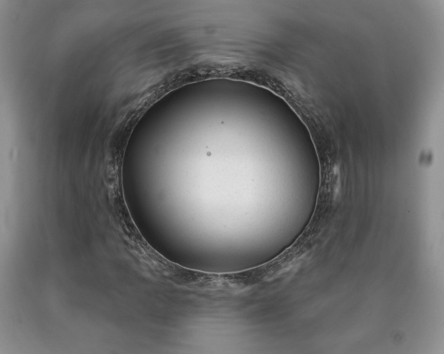 X0000090441109200707201247