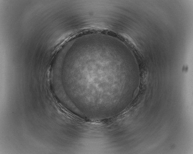 X0000090441110200707201247