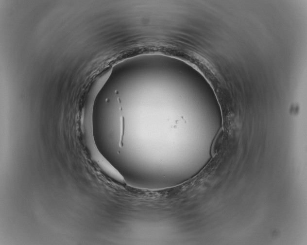 X0000090441111200707201247