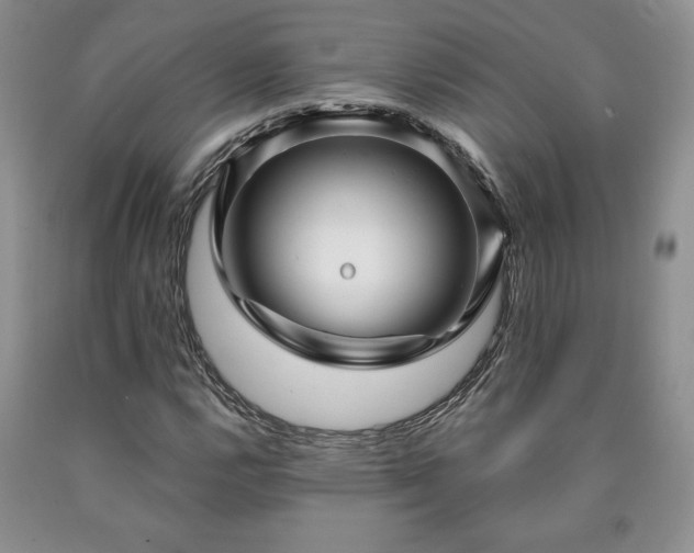 X0000090441112200707201247