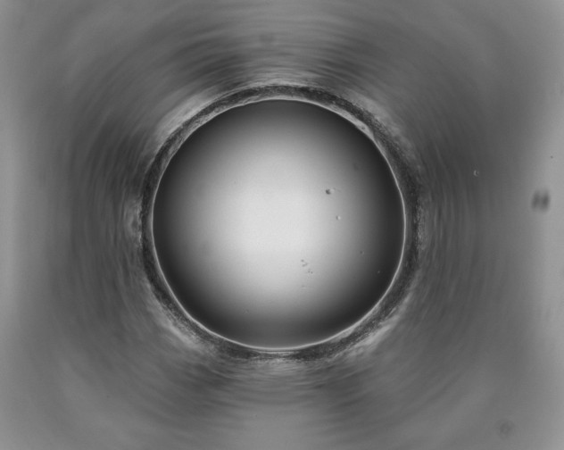 X0000090441113200707201247