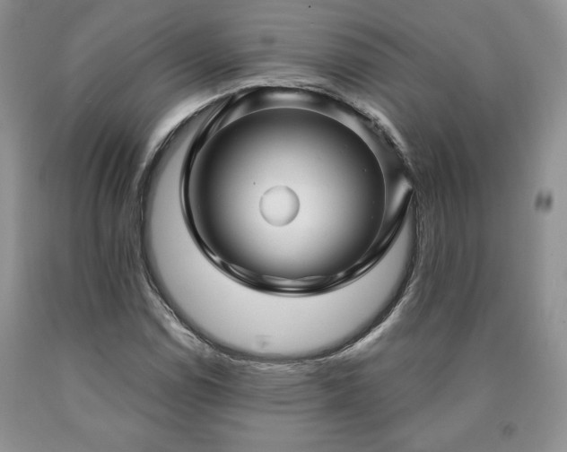 X0000090441114200707201247