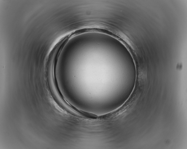 X0000090441116200707201247