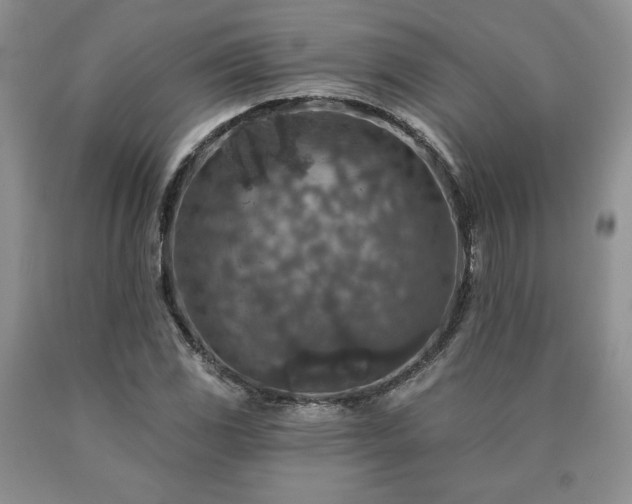 X0000090441117200707201247