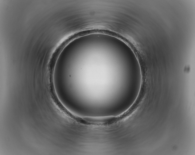 X0000090441118200707201247