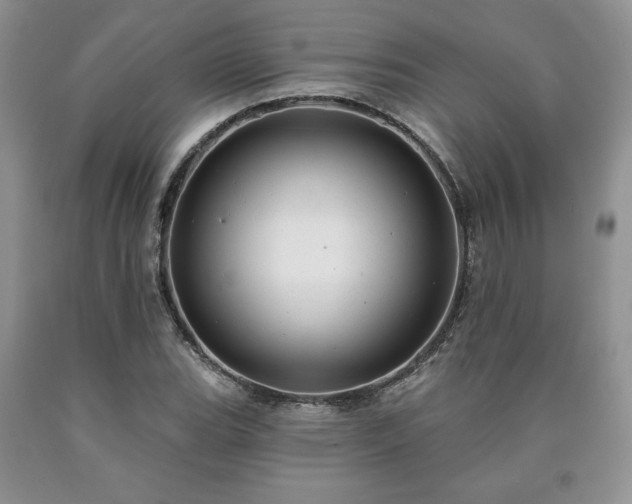 X0000090441119200707201247