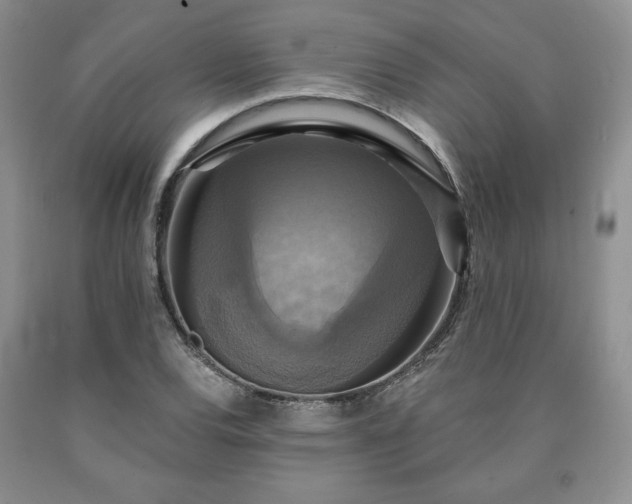 X0000090441120200707201247