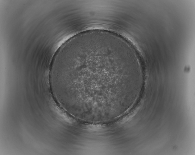 X0000090441121200707201247