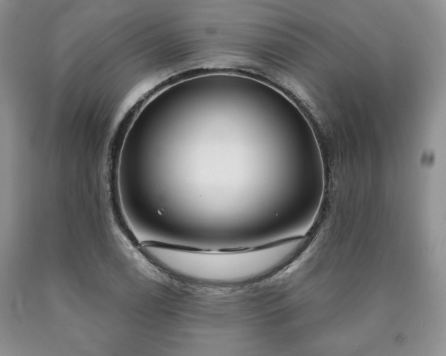 X0000090441122200707201247