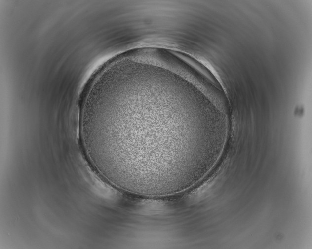 X0000090441123200707201247