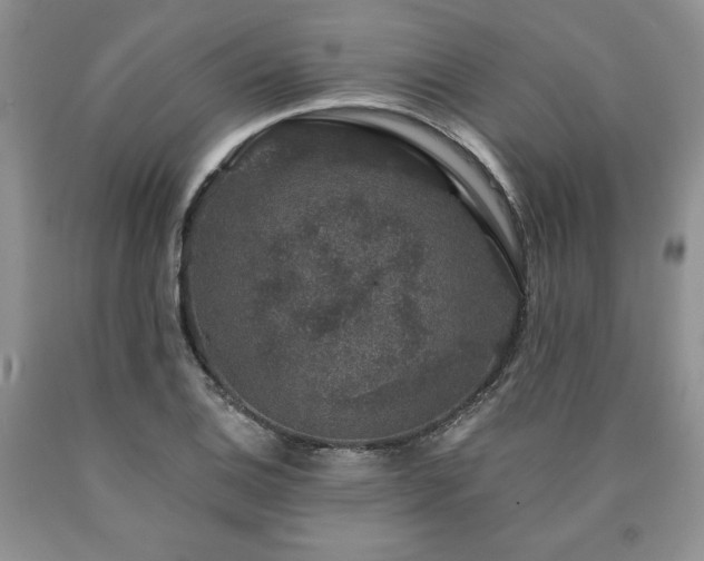 X0000090441124200707201247