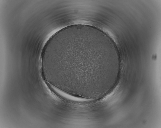 X0000090441125200707201247