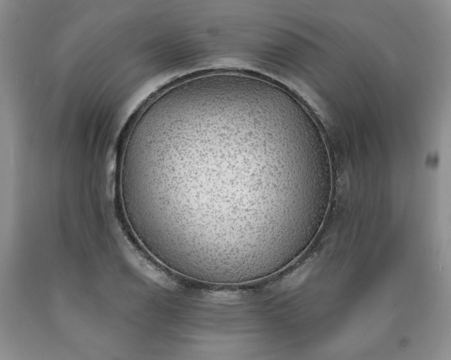 X0000090441126200707201247