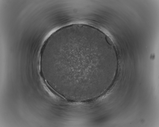 X0000090441127200707201247