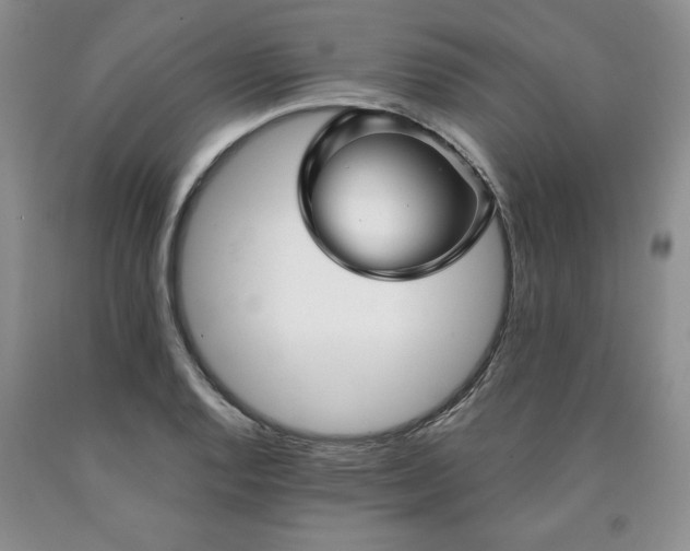 X0000090441128200707201247