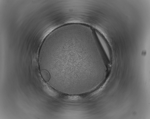 X0000090441129200707201247