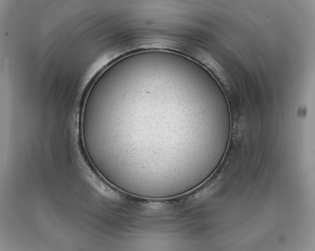 X0000090441130200707201247