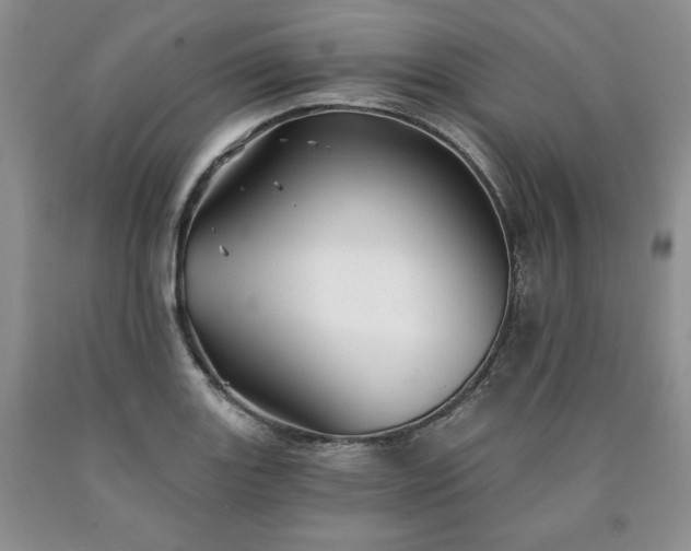 X0000090441131200707201247