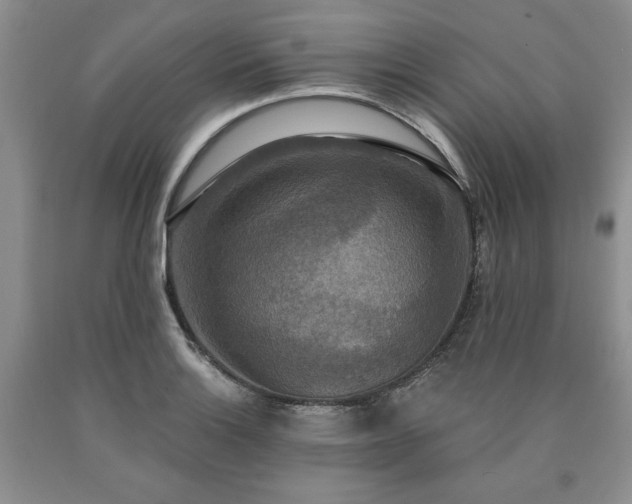 X0000090441132200707201247