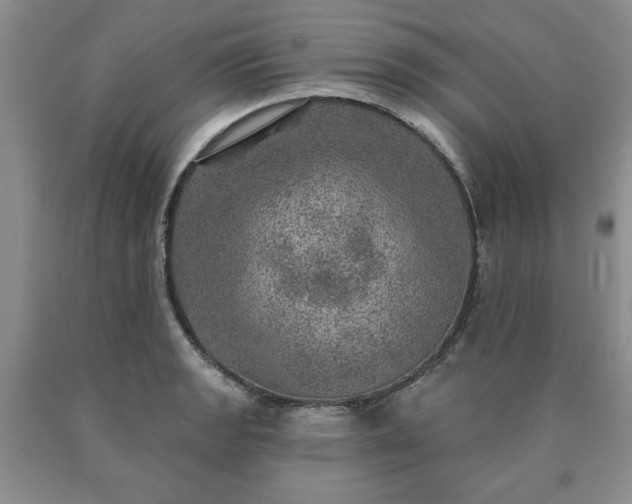 X0000090441133200707201247