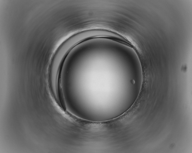 X0000090441134200707201247