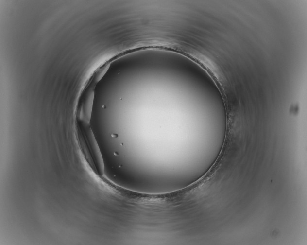 X0000090441135200707201247