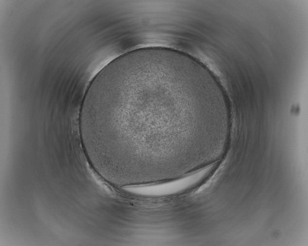 X0000090441137200707201248