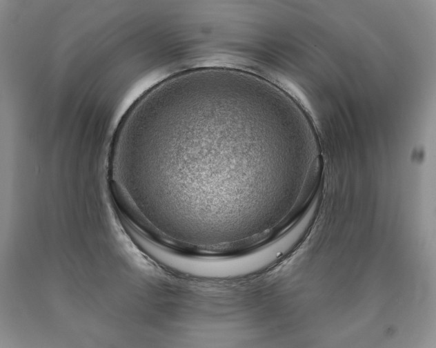 X0000090441138200707201248