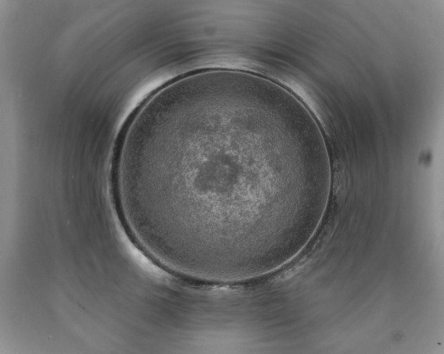 X0000090441139200707201248